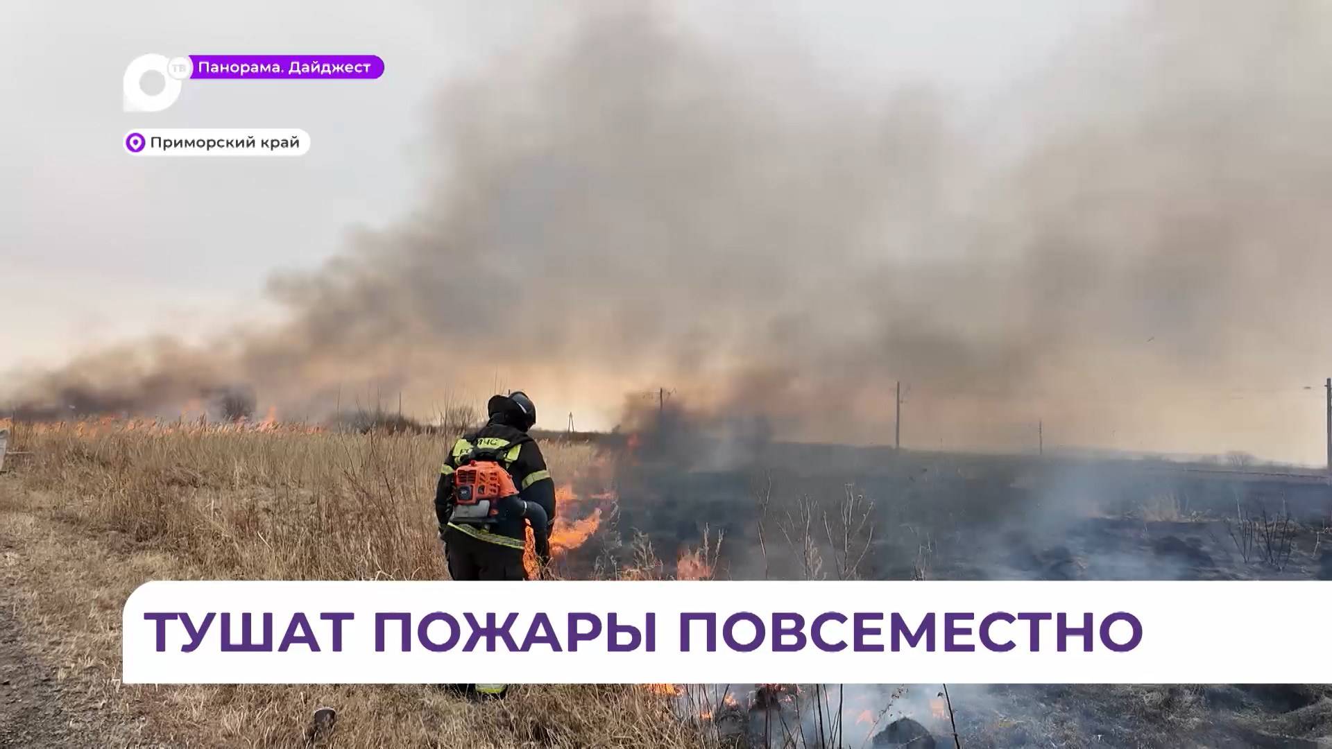 Серия природных пожаров произошла в Приморском крае за минувшие выходные