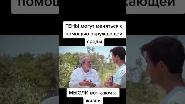 Гены , окружение среда ,как все это влияет на организм и на нашу жизнь ?