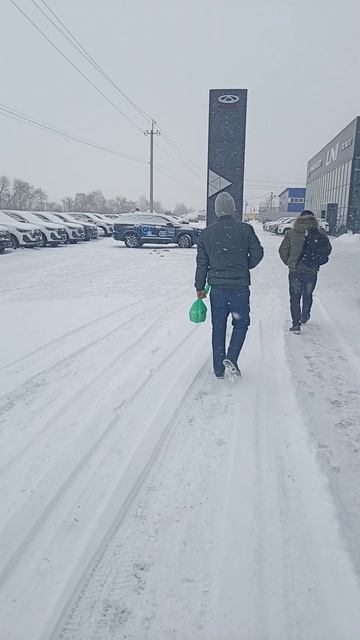 2025-02-27-084850251.mp4