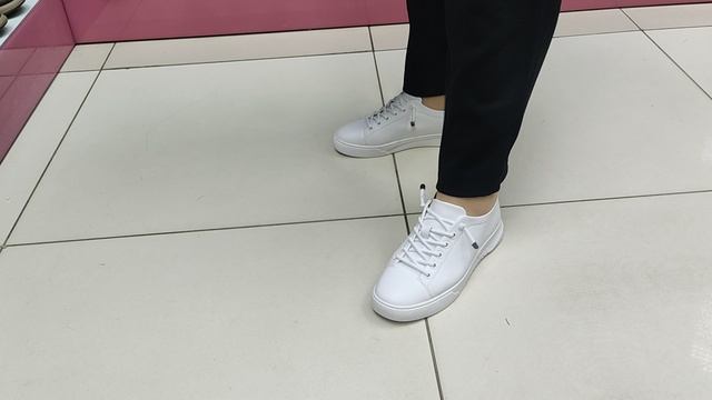 VID_2025_03_03_19_31_25_3158811239430687201090