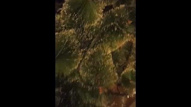 Праздники закончились...