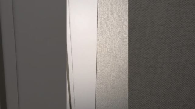 1000094775.mp4