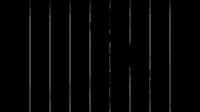 Лыжня Салавата 2025///