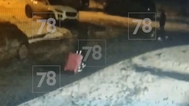 В Петербурге  НАШЛИ ДВА чемоданА с расчлененным телом внутри !!!