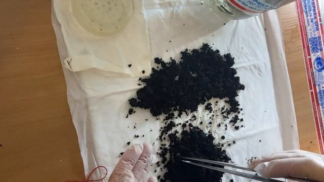 Зимняя распаковка медицинских пиявок