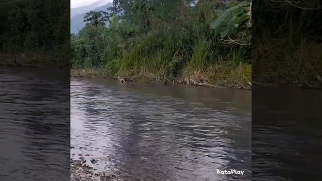TALANG TINGGAL BY MAWARIAH|| GITAR TUNGGAL BATANG HARI 9 LAGU DAERAH SUMATERA SELATAN