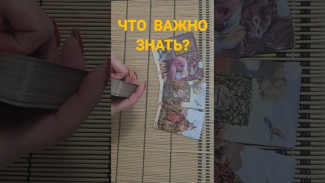 ЧТО ВАЖНО ЗНАТЬ?