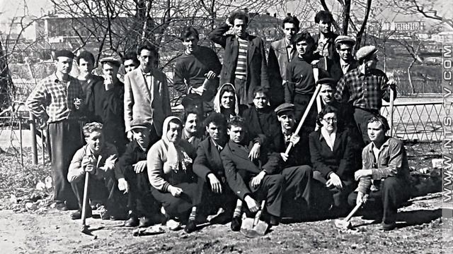 Николай Багринцев
