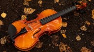 Скрипка музыка. Современная скрипка. Спокойная скрипка. Грустная скрипка. Классическая музыка