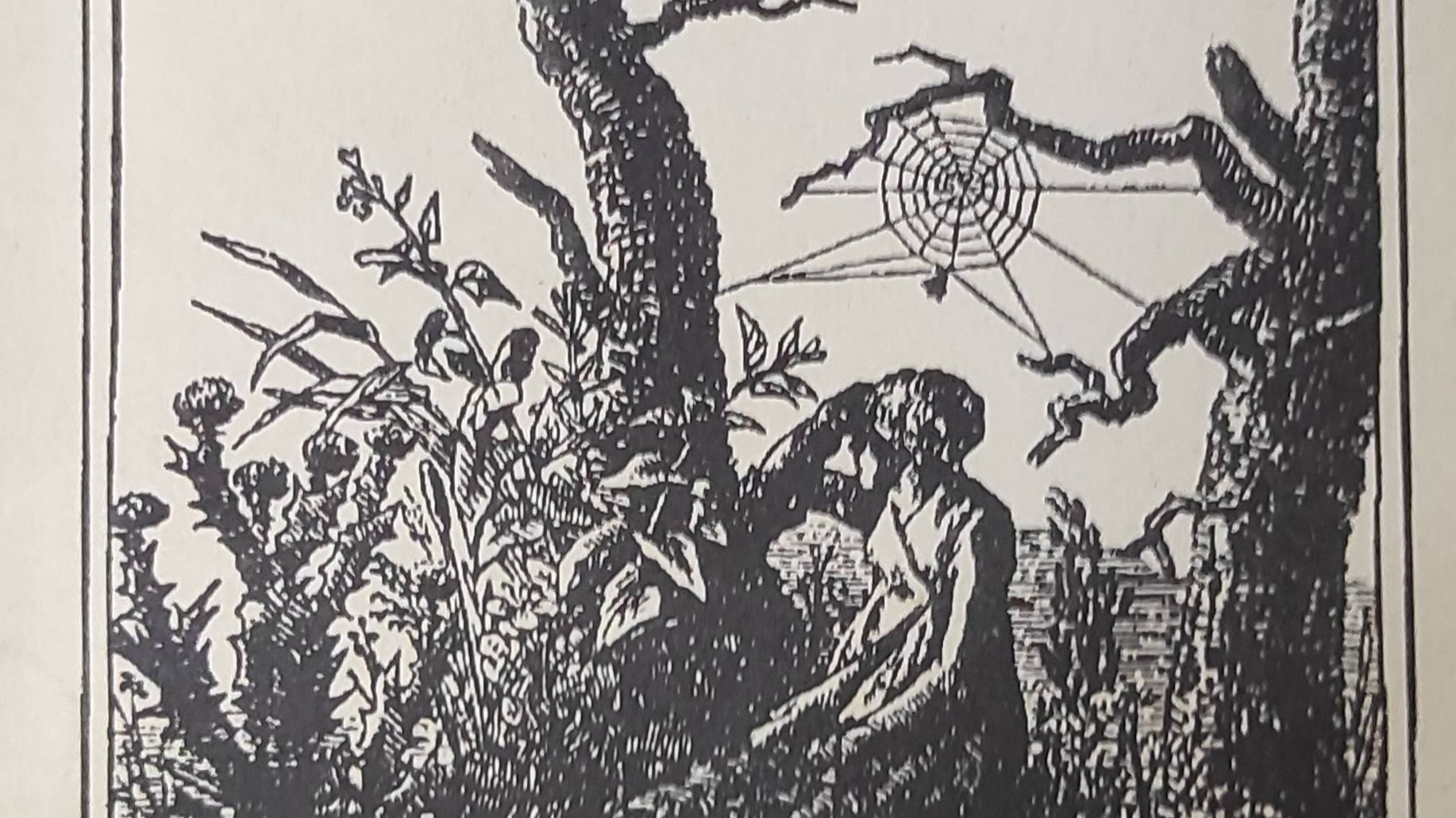 КНИГА 184 Евгений Кольчужкин Нити Арахны (Томск: Издательство «Водолей», 1992)