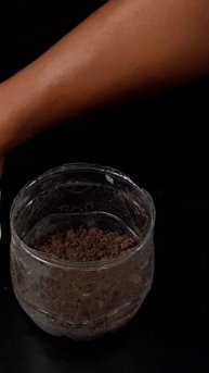 Secret natural fertilizer mix for CHILLIES for Getting Tons of Fruits#Shorts