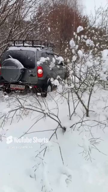 Спасение шевика шевиком