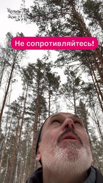 Успех неизбежен?