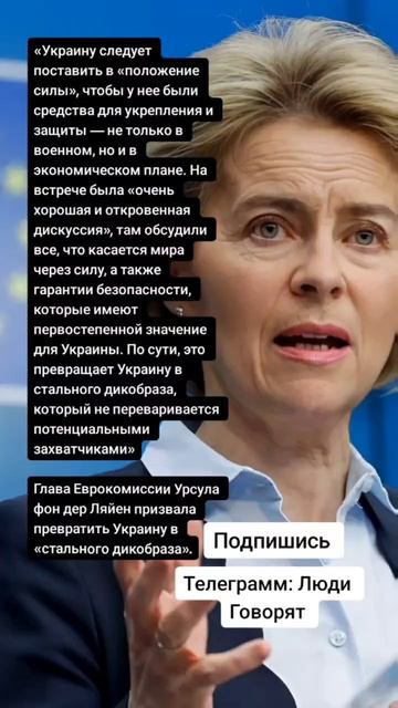 Глава Еврокомиссии Урсула фон дер Ляйен призвала превратить Украину в «стального дикобраза».