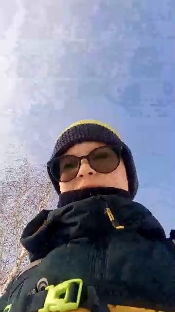 т