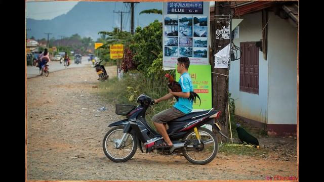 2014, Laos, Cambodia