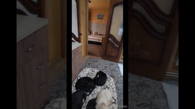 Уют и покой😊