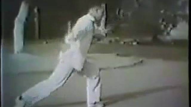 Пекинские мастера тайцзи цюань 1970-е годы / Taijiquan Masters Beijing, 1970's