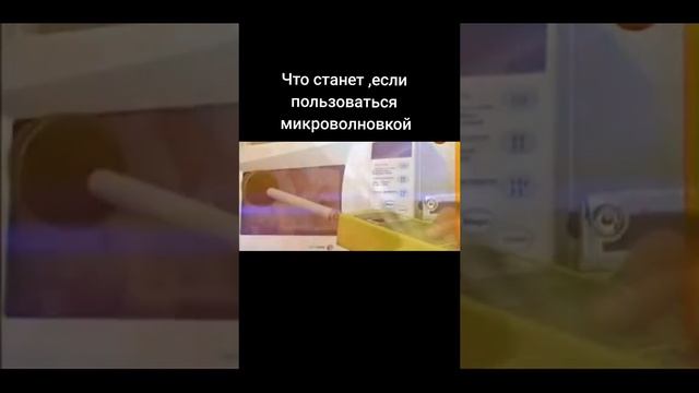 Опыт с микроволновкой и растениями