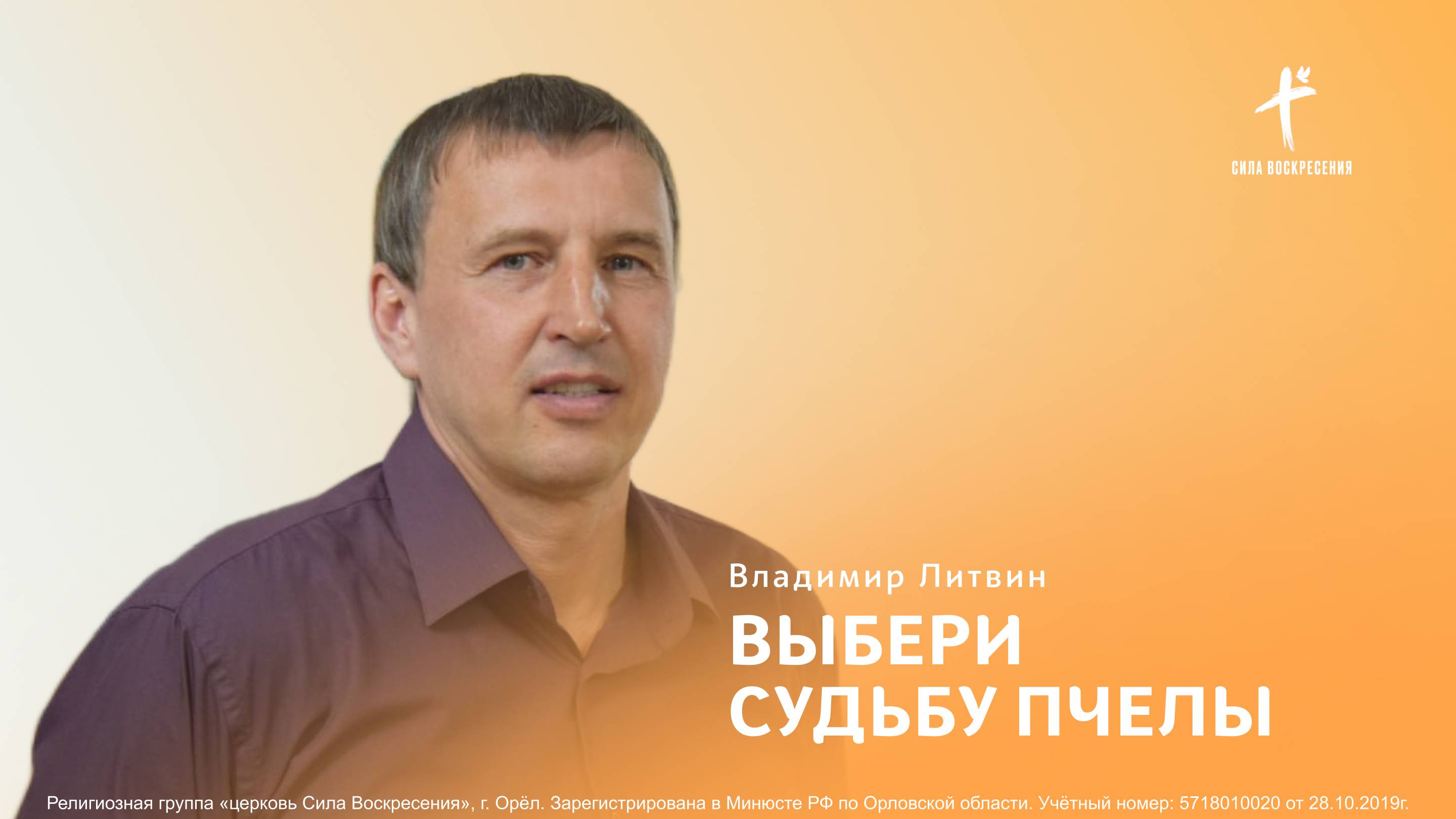 Владимир Литвин / Выбери судьбу пчелы / 02.03.2025
