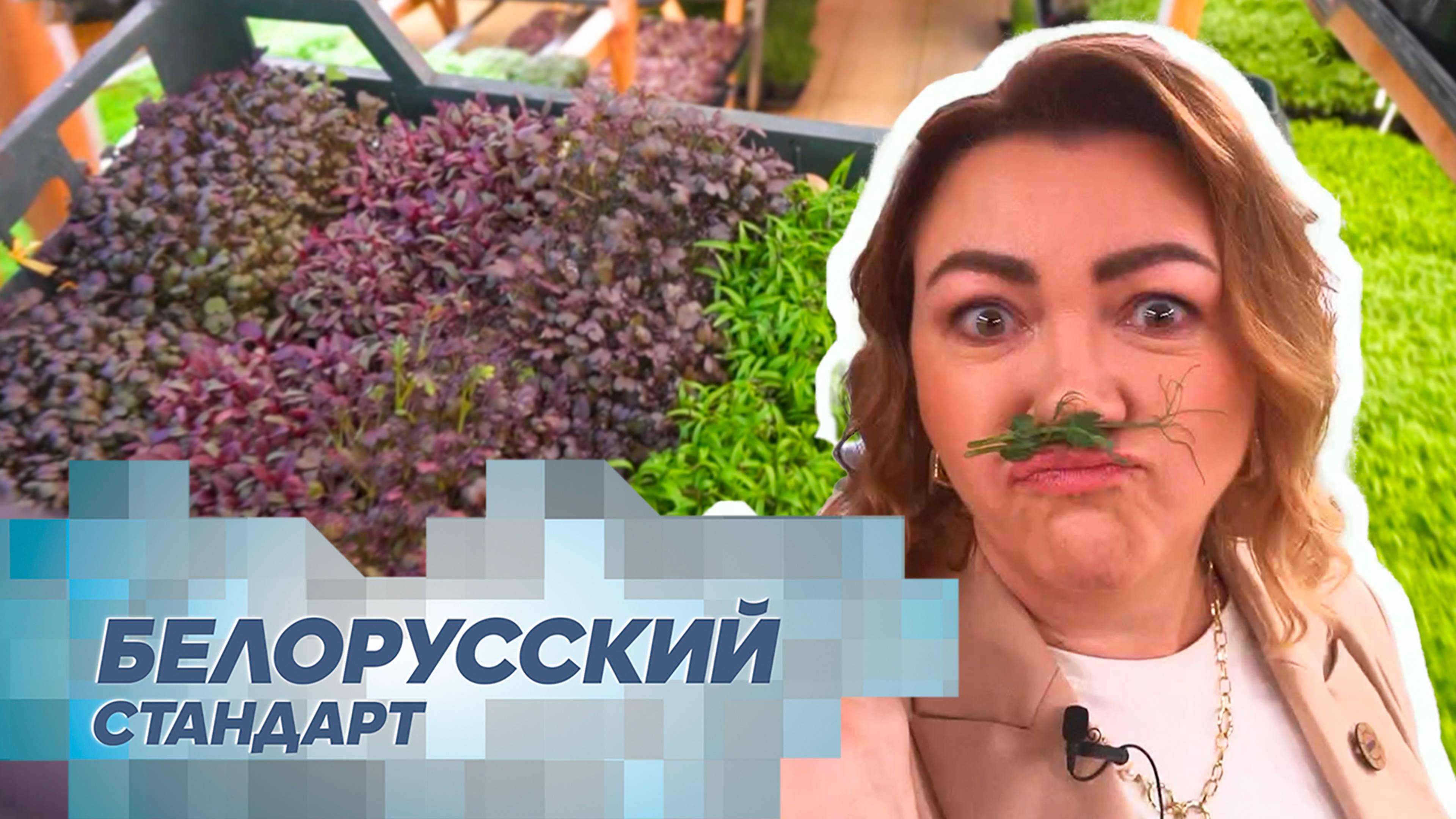 Выращиваем микрозелень. Настоящий суперфуд и витамины круглый год!