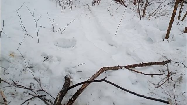 приехали на вторую избу А ТАМ!
#охота