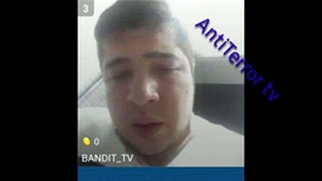 Bandit tv kot ushlandii