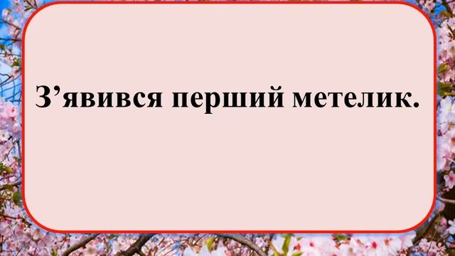 #Зоровий_диктант, #2кл. #НУШ