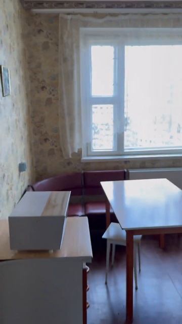 Снял за 320$ в центре Минска уютный бабушатник. Самое то для нас с Полиной и котом Сильве