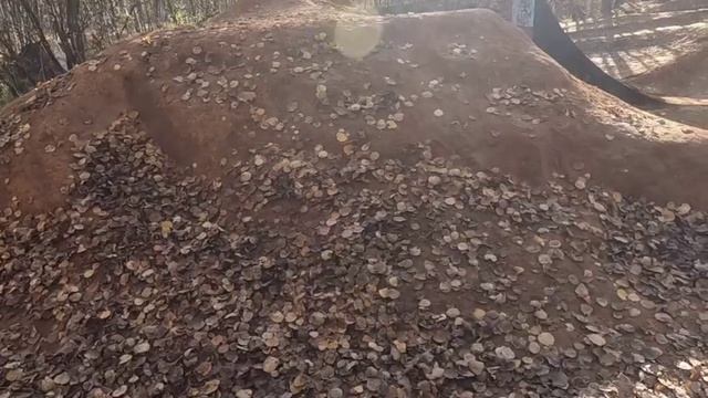 Zd racing mx-07 на дерт площадке