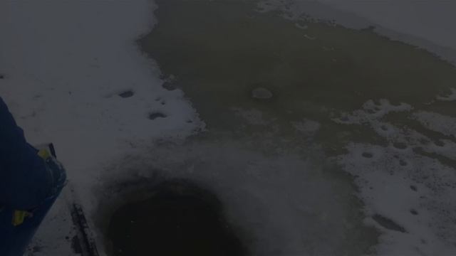 зарыбление
