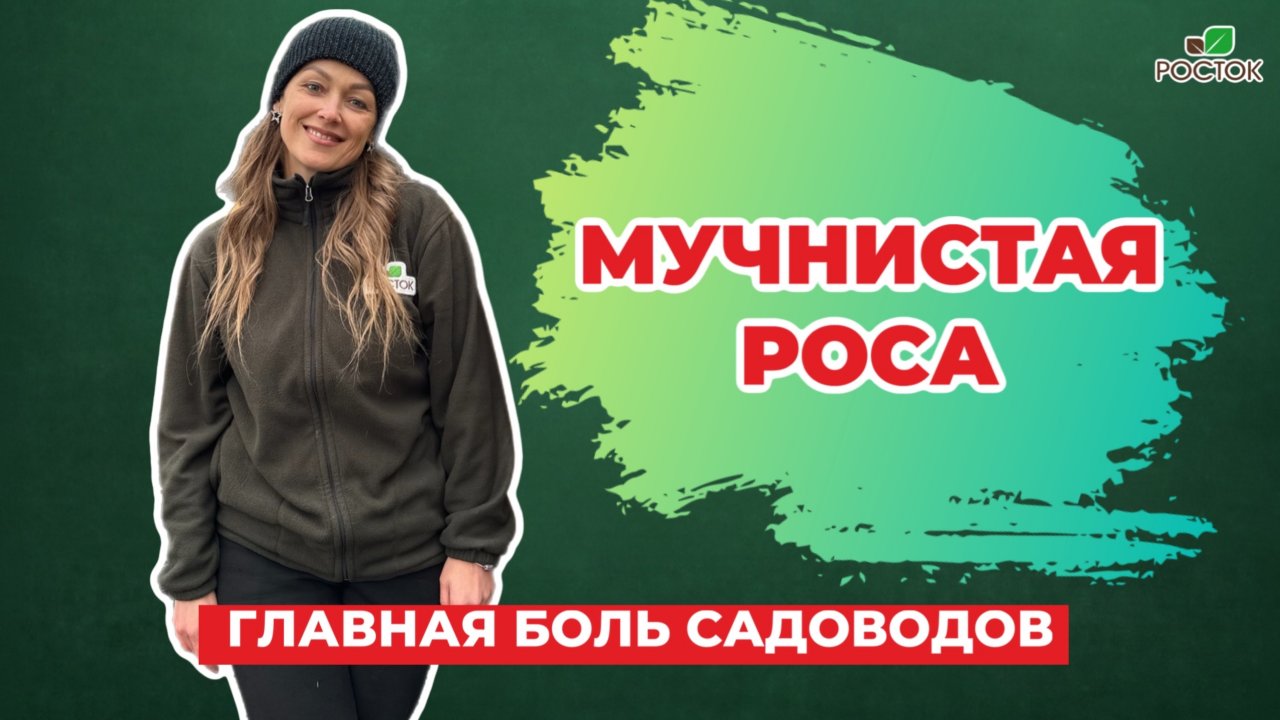 Мучнистая роса: коварный враг вашего урожая
