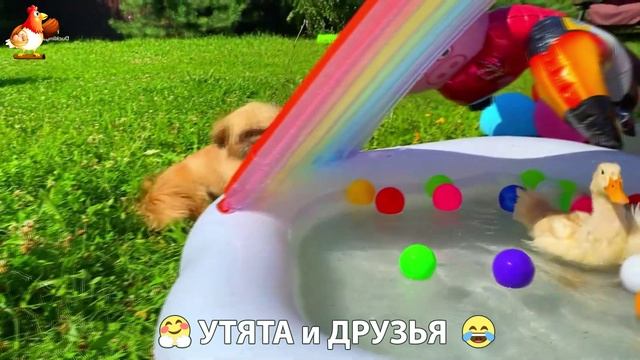 Утята с друзьями – мир нежных эмоций 🤗 эпизод (45)