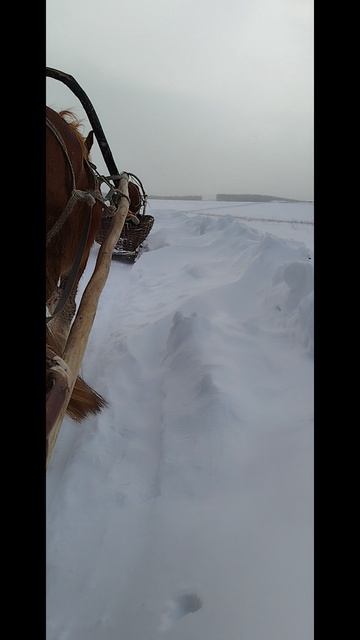 22.02.2025 я и Лена возвращаемся с Синего камня на реке Белой