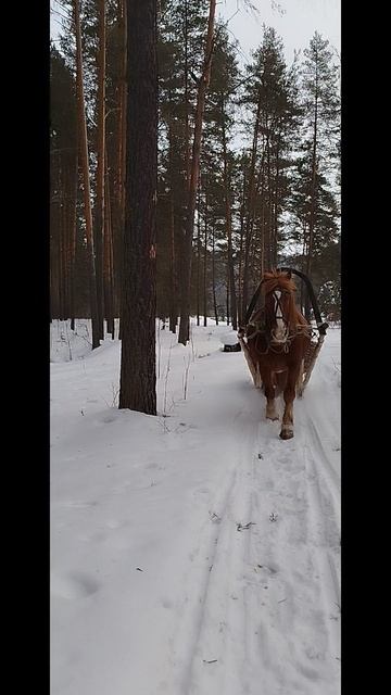 22.02.2025 я и Лена на выезде