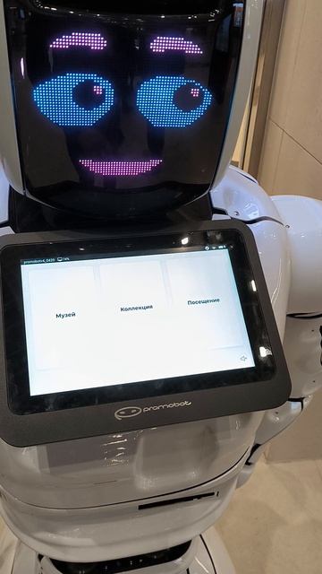Робот экскурсовод в новом корпусе Третьяковской галереи на Кадашевской набережной, 12