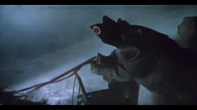 Буря (песня под гитару)