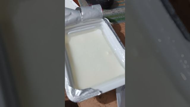 Священная клятва над сыром. Новая серия