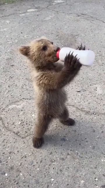 Маленький еще 😊, а когтища то какие 😳