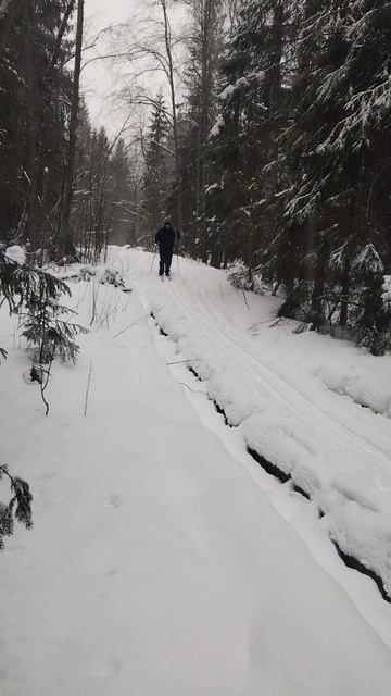 Ура! Я это сделал, 30км на лыжах, более подробно в длином видео 02.03.25