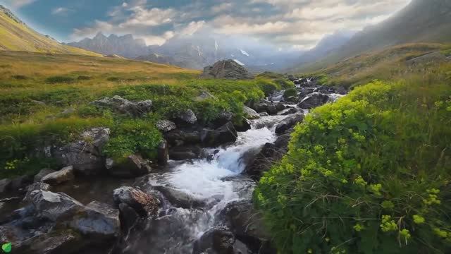 Успокаивающая музыка лечит сердце и успокаивает нервную систему🍀 Музыка для души и расслабления #1