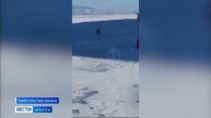 Туристы встретили лису на льду Байкала