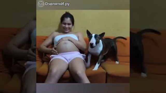 Животные тоже любят внимание