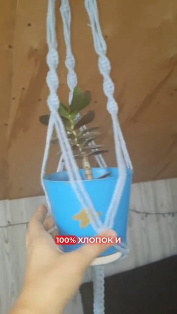 Какое кашпо больше нравится? 🪴