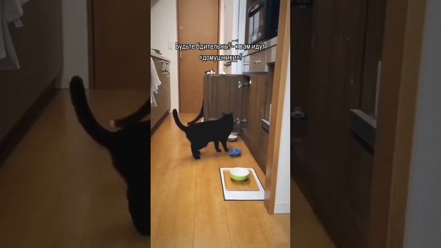 1000028795.mp4