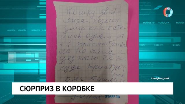 Сюрприз в коробке