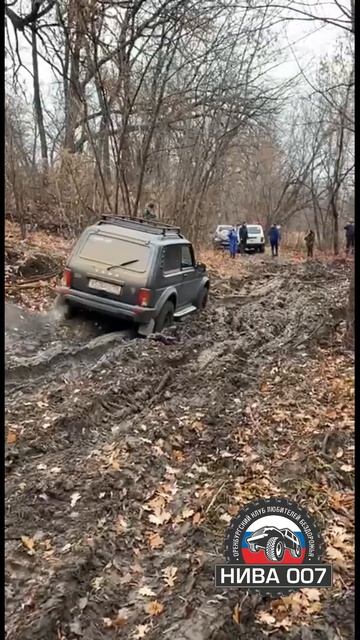 Нивас может