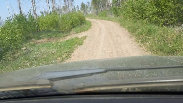 На Уаз Патриотах, по таёжной дороге