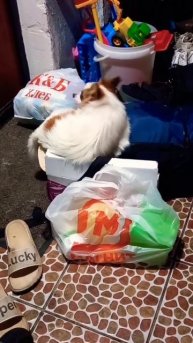 вещи собраны. ) #мамавдекрете #семья #отпуск #лето2023 #втоп #врек #глобальныерекомендации #море