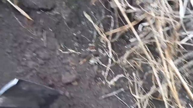 Старые места радуют находками!!!
